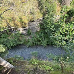 Looking down into the ravine from the trail. Looking down into the ravine from the trail.