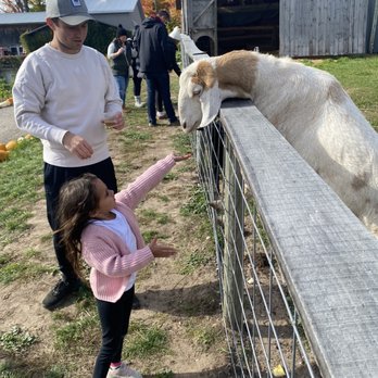 Pond Hill Farm - Animal farm - Cafes Near Me - Harbor Springs, Michigan Pond Hill Farm - Animal farm - Cafes Near Me - Harbor Springs, Michigan