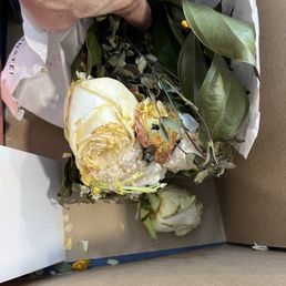 Dead flowers Dead flowers