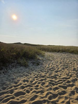 Jetties Beach by null