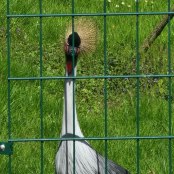 Zoo Dresden - Zoos Near Me - Dresden, SN