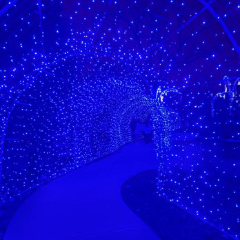 Winterlights at Newfields - Festivals Near Me - Indianapolis, Indiana Winterlights at Newfields - Festivals Near Me - Indianapolis, Indiana