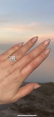 American Beauty by null