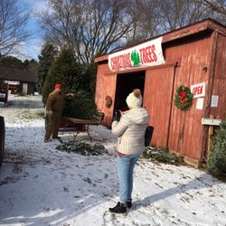 Conifera Tree Farm - Farm pic.