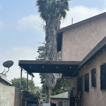 Discount Tree Care Arborist - Tree Services Near Me - Long Beach, California