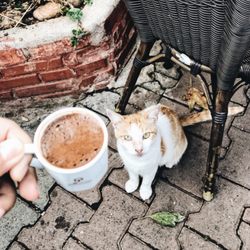 Burgaz Cafe