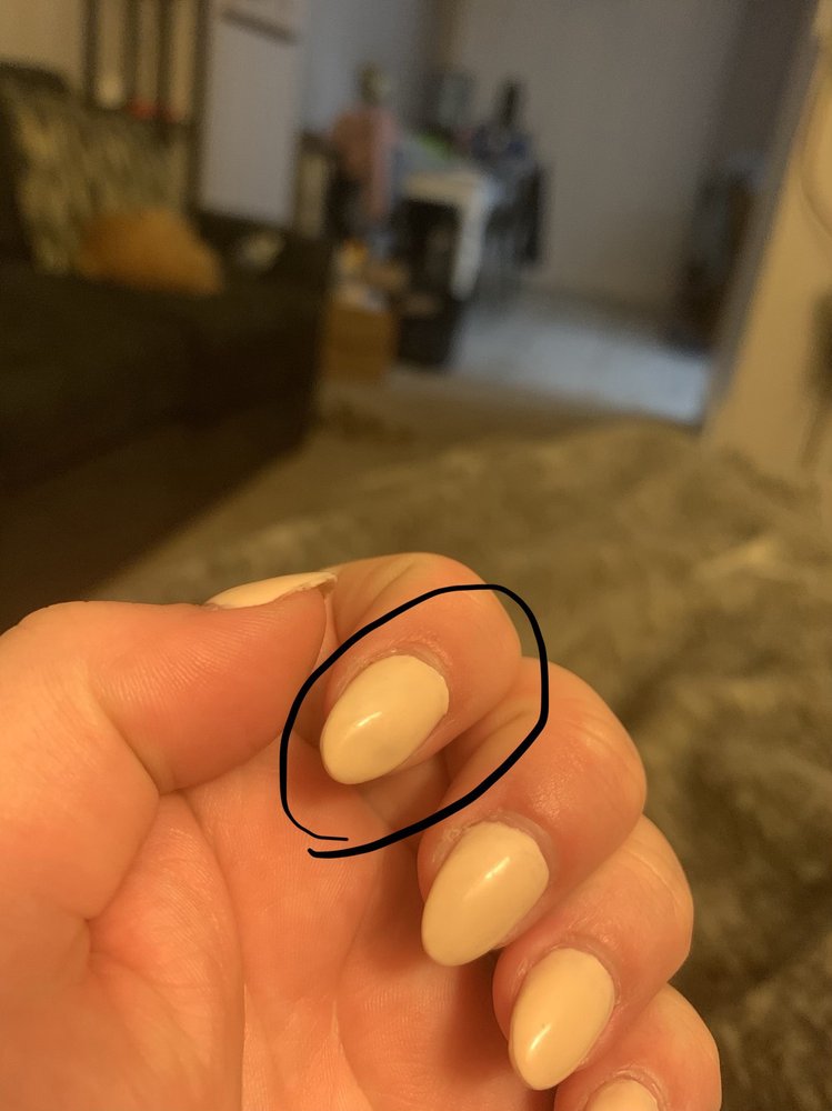 LUSH NAIL SPA 171 Photos & 188 Reviews 2295 S Chambers Rd, Aurora, CO Yelp