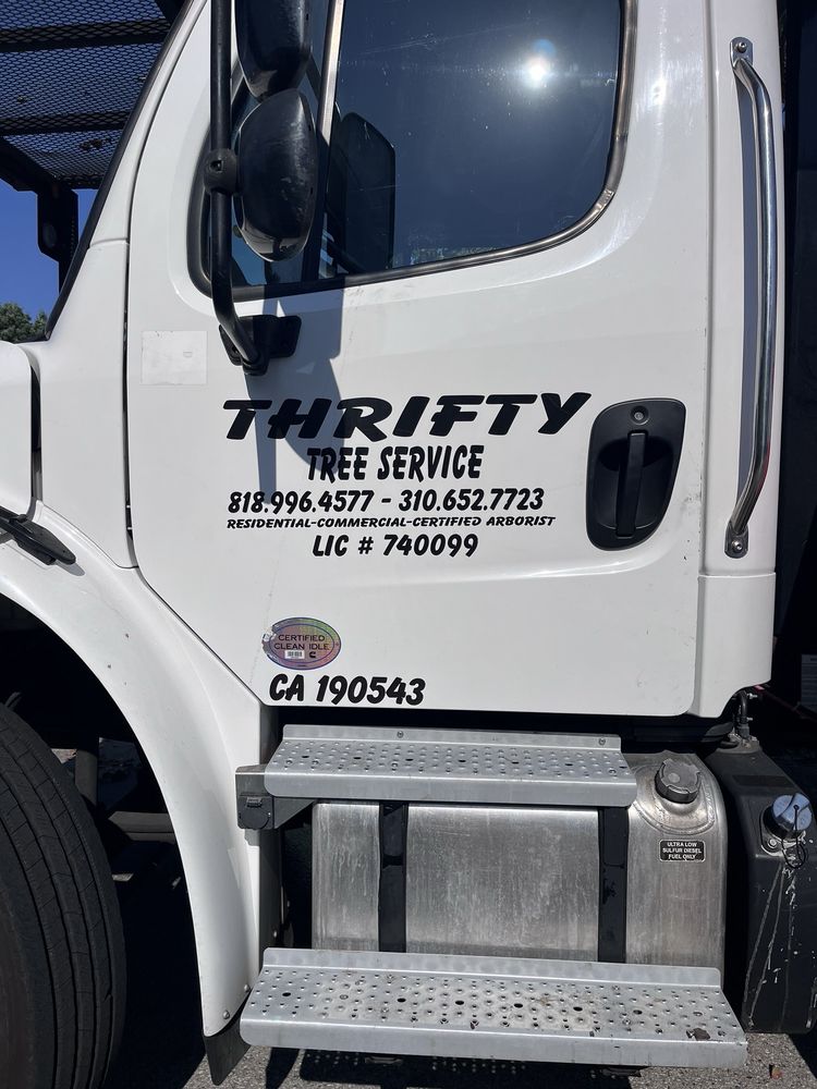 Thrifty Tree Service - tree service in Tarzana, CA