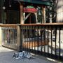 Yuba River Inn