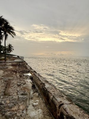 Seven Mile Bridge by null