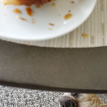 Colossus - Doggo wants some :) - Bakeries Near Me - San Pedro, California