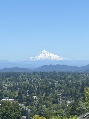 Mt. Tabor Picnic A by null