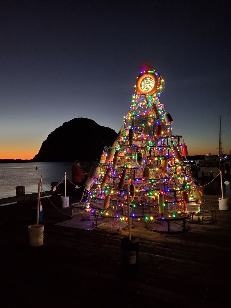 MORRO BAY T PIER SEA OTTER VIEWING AREA - Updated June 2024 - 29 Photos