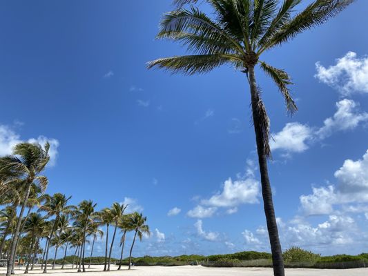 Lummus Park by null
