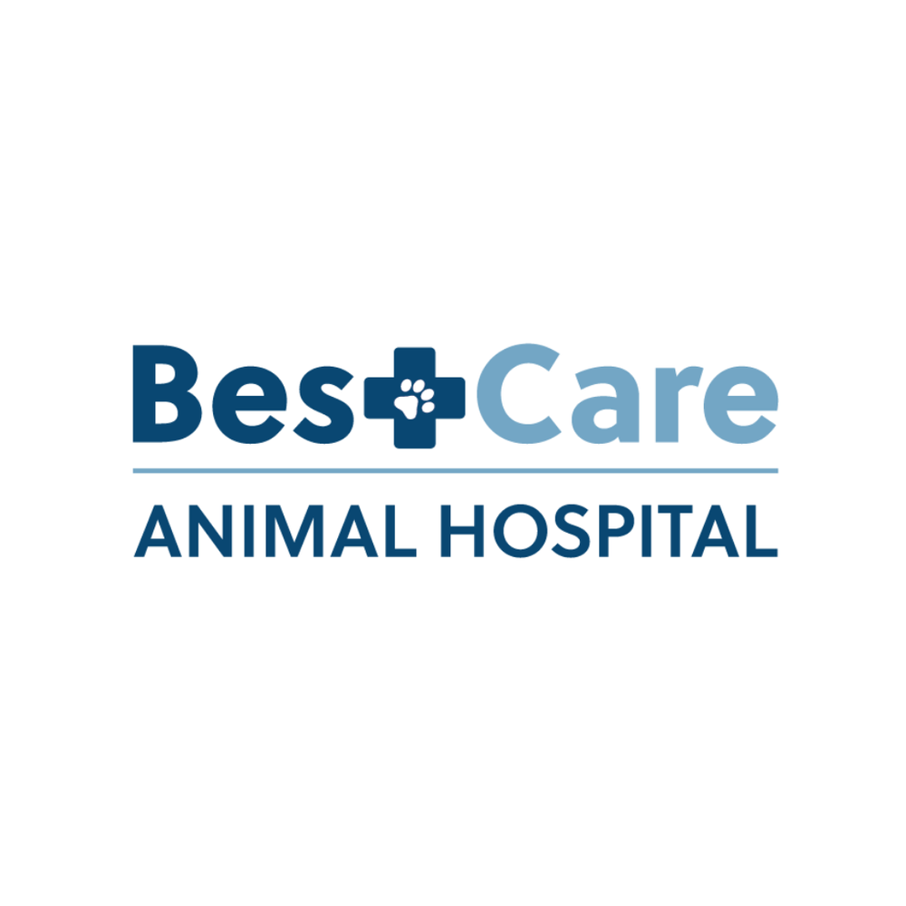 BEST CARE ANIMAL HOSPITAL 18 Photos & 18 Reviews 10850 Louetta Rd