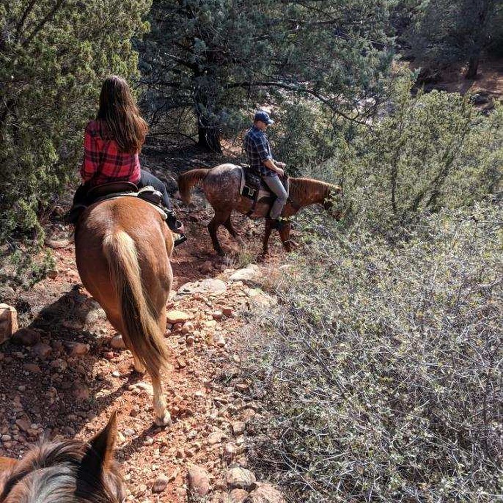 Horse Affinity - Horseback Riding Near Me