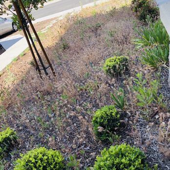 A & E Landscaping and Gardening - Before - Landscaping Near Me A & E Landscaping and Gardening - Before - Landscaping Near Me