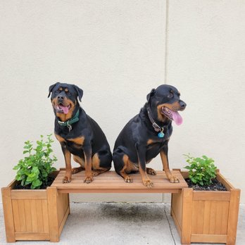 Cibolo Small Animal Hospital - Our inside space is small but our outside seating is enjoyable!!! - Veterinarians Near Me - Cibolo, Texas Cibolo Small Animal Hospital - Our inside space is small but our outside seating is enjoyable!!! - Veterinarians Near Me - Cibolo, Texas