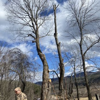NEK Tree Workz - a man standing next to a tree - Tree Services Near Me NEK Tree Workz - a man standing next to a tree - Tree Services Near Me