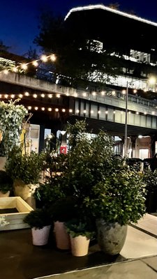 The Standard Plaza by null