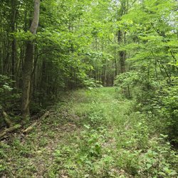 Rappahannock River Valley National Wildilfe Refuge