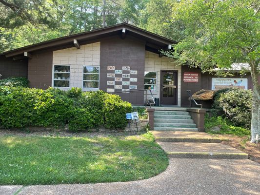 Mississippi Petrified Forest by null