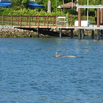 Pure Florida - Boat Charters Near Me - Naples, Florida Pure Florida - Boat Charters Near Me - Naples, Florida