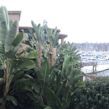 Best Western Plus Island Palms Hotel & Marina - The view from our balcony. - San Diego, CA