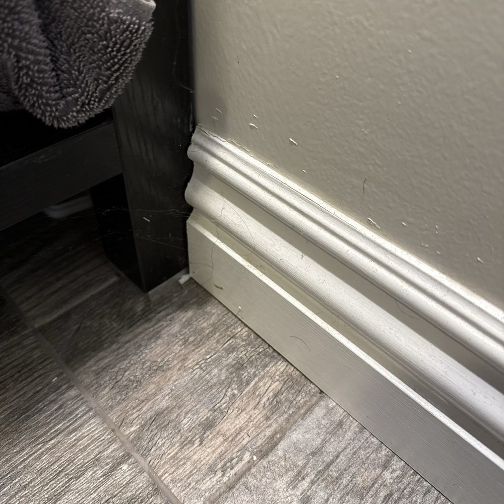 Ana’s Business - Hair, clearly not wiped or disinfected - Home Cleaning Near Me Ana’s Business - Hair, clearly not wiped or disinfected - Home Cleaning Near Me