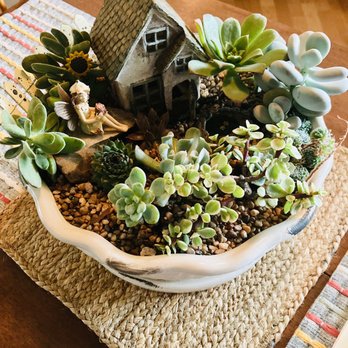 Valley Pacific Floral - Succulent Fairy Garden - Florists Near Me - Woodburn, Oregon Valley Pacific Floral - Succulent Fairy Garden - Florists Near Me - Woodburn, Oregon