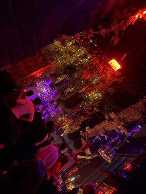 Somewhere Nowhere NYC - Lounge, Nightclub & Rooftop Pool by null