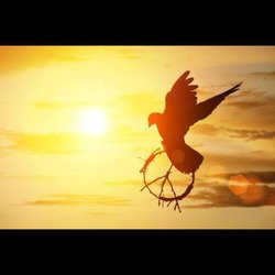 Sanatana