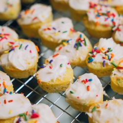 Yelp Community Experience: FurEver Friends Family Market - Dreamstate Media Co  @dreamstatemediaco