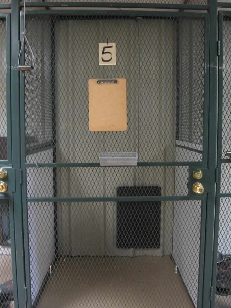 ANIMAL HAVEN LODGE & SALON 16 Photos & 14 Reviews 3027 N Valley Dr