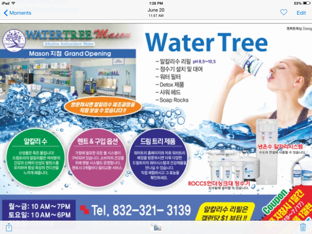 Water Tree Mason Logo