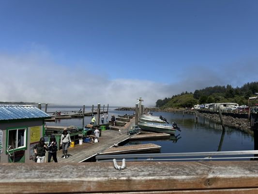 Kelly's Brighton Marina & Campground by null