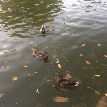 Mariposa Basin Park - Parks Near Me - Albuquerque, New Mexico