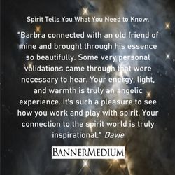 Barbra Banner - Banner Medium