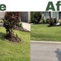 Photo of TN Landscaping 