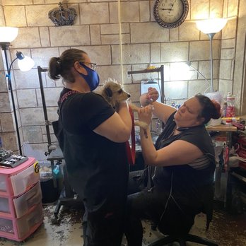 Poodie's Pet Palace - Coddled nail trimming - Pet Groomers Near Me - Renton, Washington