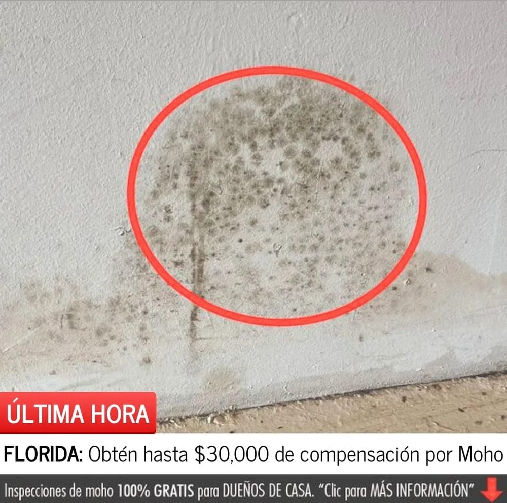 Slide of Skydrop Restoration