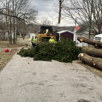 Rm Tree & Stump Removal - Tress for the Chipper - Tree Services Near Me - Louisville, Kentucky