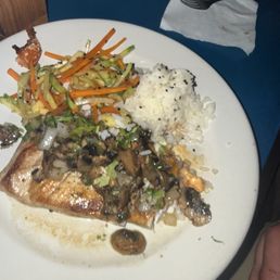Salmon Salmon