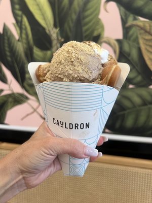 Cauldron Ice Cream by null