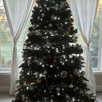 Northwest Landscape Supply - Beautiful Christmas tree from northwest landscape supply - Nurseries & Gardening Near Me - Lynnwood, Washington Northwest Landscape Supply - Beautiful Christmas tree from northwest landscape supply - Nurseries & Gardening Near Me - Lynnwood, Washington