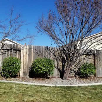 Myers Brothers Tree Care - More trimmed trees and shrubs - Tree Services Near Me Myers Brothers Tree Care - More trimmed trees and shrubs - Tree Services Near Me