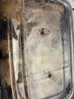 Hop Woo BBQ & Seafood Restaurant (Chinatown) by null