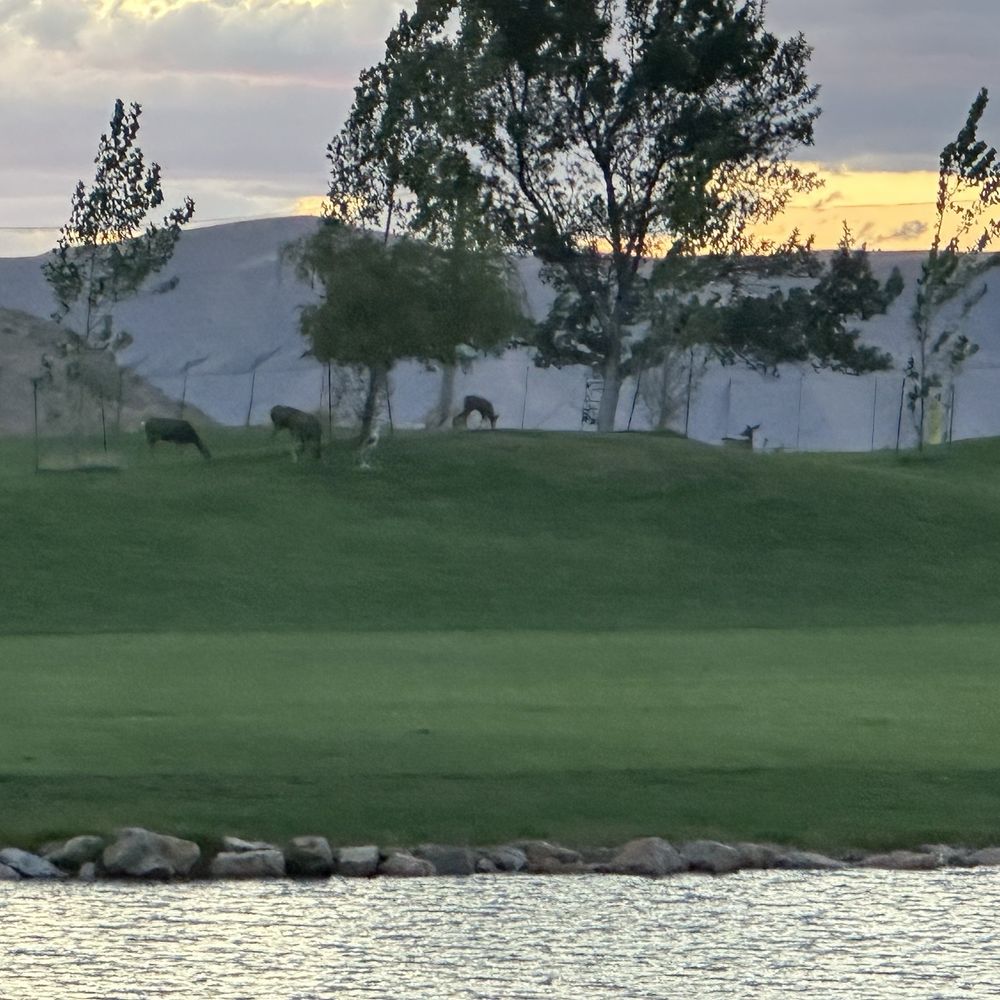 Gladstan Golf Course - Deer - Golf Near Me - Payson, Utah Gladstan Golf Course - Deer - Golf Near Me - Payson, Utah