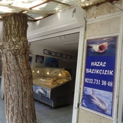 Hazal Balıkçılık