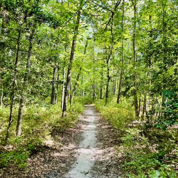 Cedarville State Forest - Orange loop - Parks Near Me - Brandywine, Maryland Cedarville State Forest - Orange loop - Parks Near Me - Brandywine, Maryland